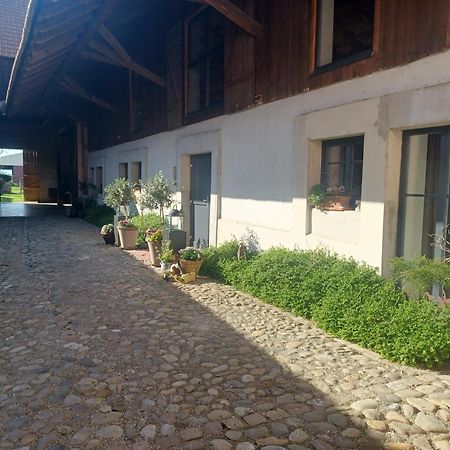 Cote Cour Bischwihr Colmar Bed & Breakfast Exterior photo