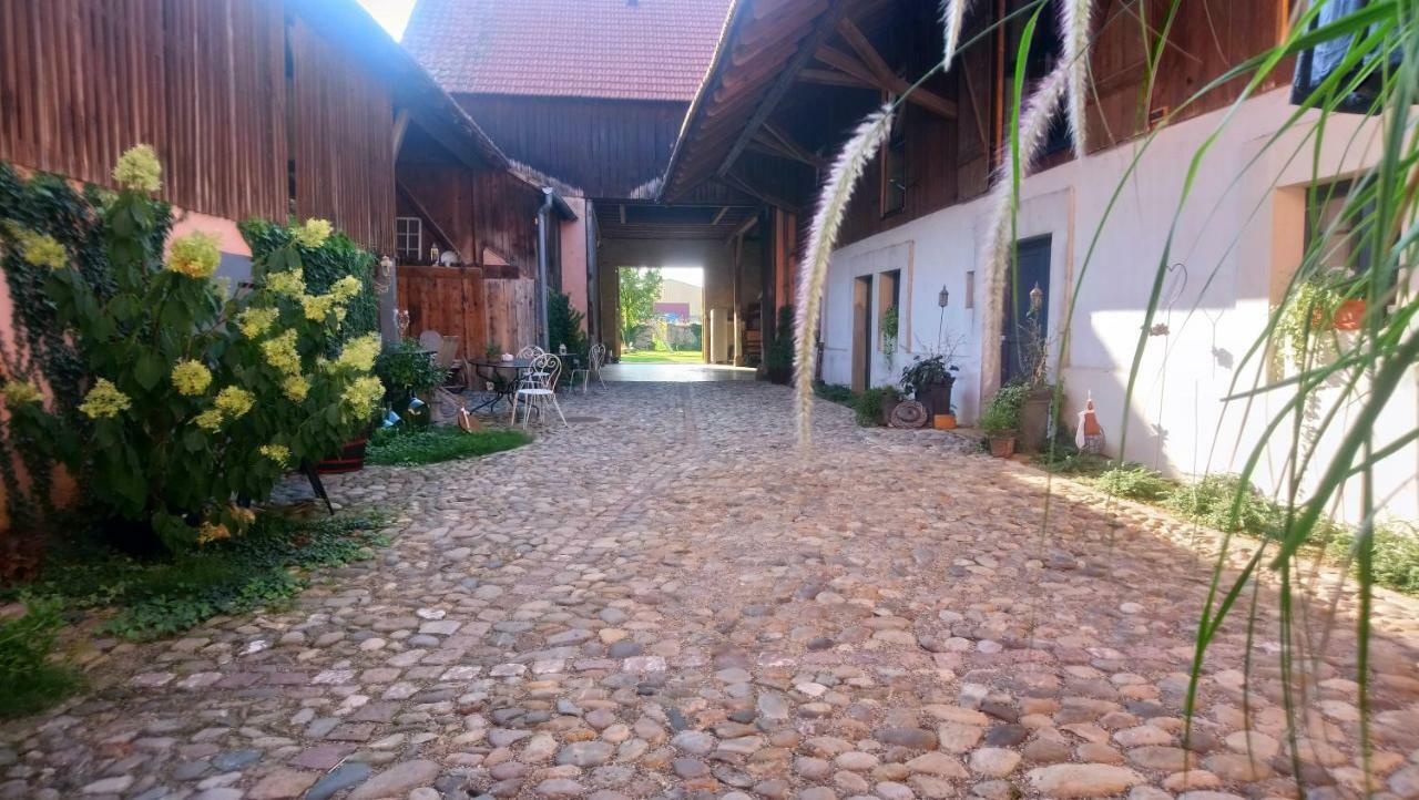 Cote Cour Bischwihr Colmar Bed & Breakfast Exterior photo